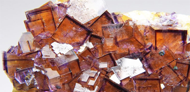 鉱物・隕石をさがす