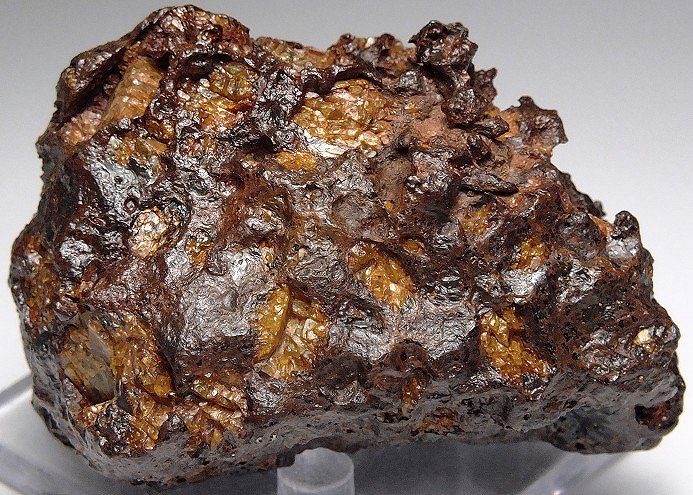 Imilac パラサイト石鉄隕石 A256(未切断/大型希少品) 401.5g - 株式 