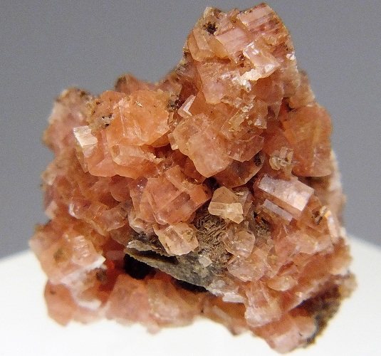 セラン石 61 カナダ - 鉱物標本・隕石標本販売のWeb専門店 エヌズ