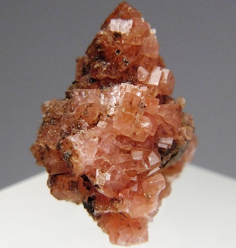 セラン石 61 カナダ - 鉱物標本・隕石標本販売のWeb専門店 エヌズ