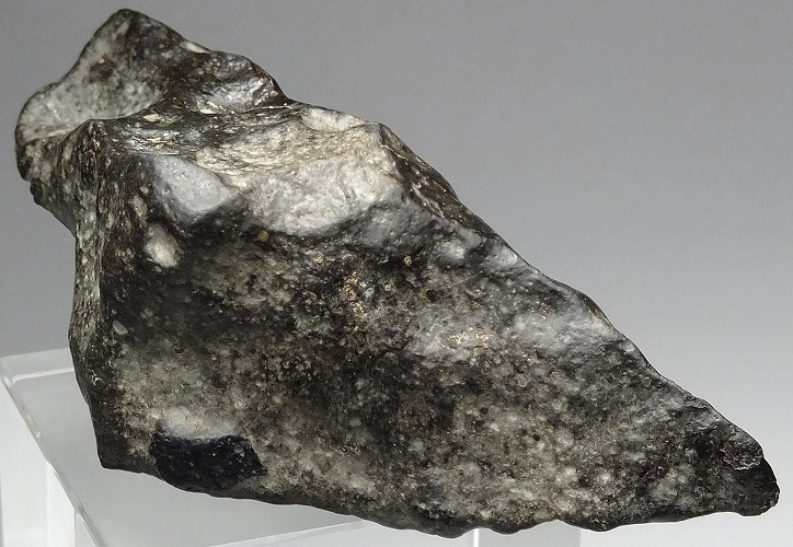 ブラック炭素質コンドライトNWA 6368隕石標本 - コレクション