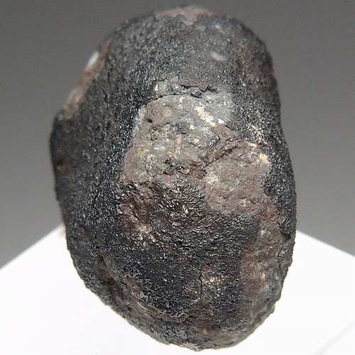 カンポ・デル・シエロ隕石