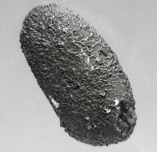 Tarda 炭素質石質隕石(C2-ung) /2g弱/