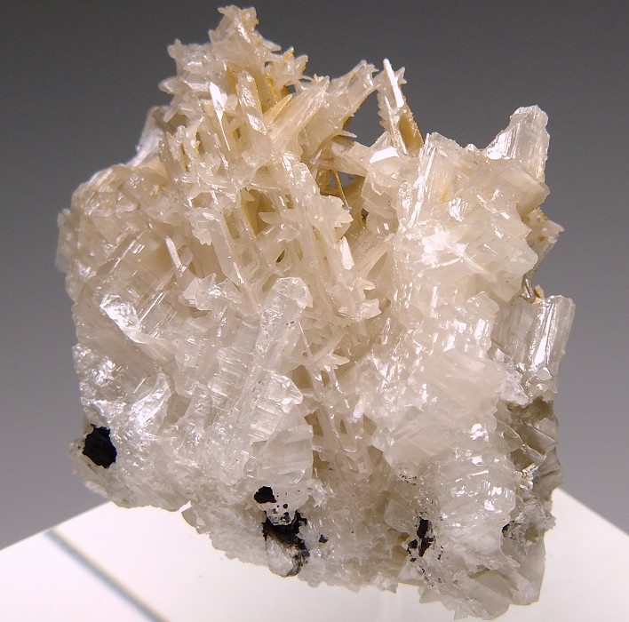 白鉛鉱 107 イラン - 鉱物標本・隕石標本販売のWeb専門店 エヌズ