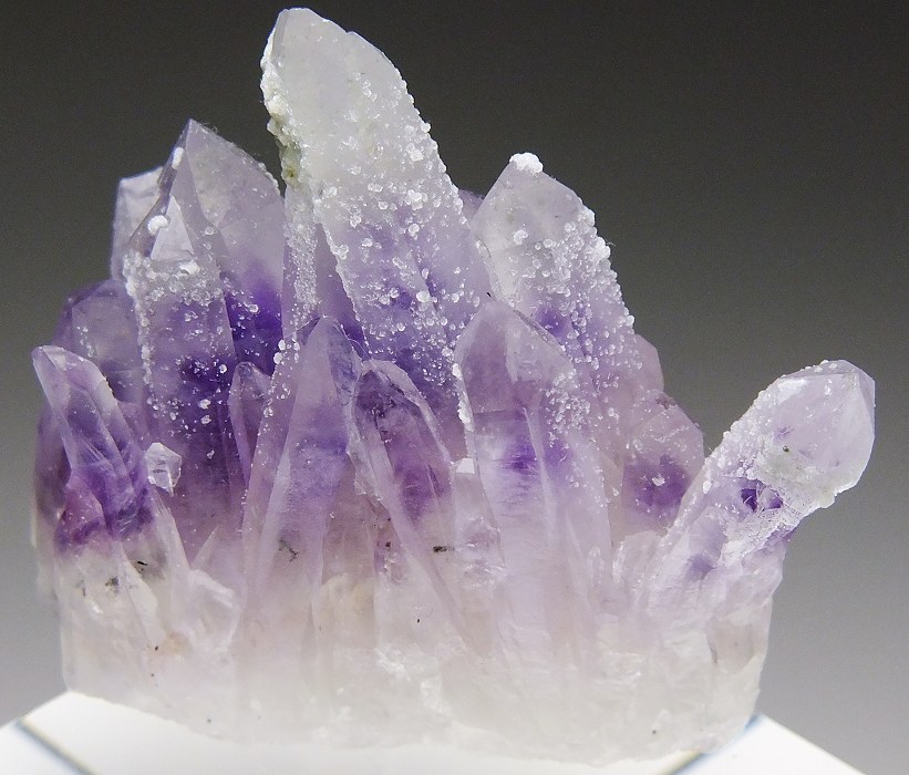 ナミビア エロンゴ アメシスト EC954 天然石 原石 鉱物標本 鉱石 紫水晶-