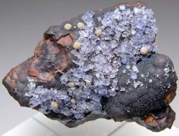 フローライト - イギリス - の商品一覧- 鉱物標本・隕石標本販売のWeb 