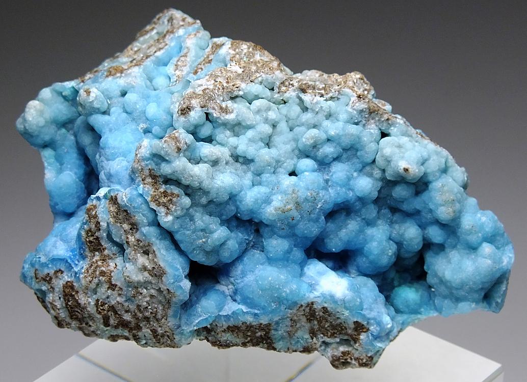 究極レア!!! イブナ隕石標本 S 激安