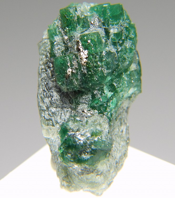 エメラルド の商品一覧- 鉱物標本・隕石標本販売のWeb専門店 エヌズ 