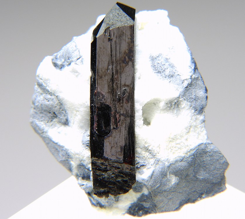 Amazon.co.jp: [1923年]ドイツの古い鉱物図鑑(DAS MINERALREICH