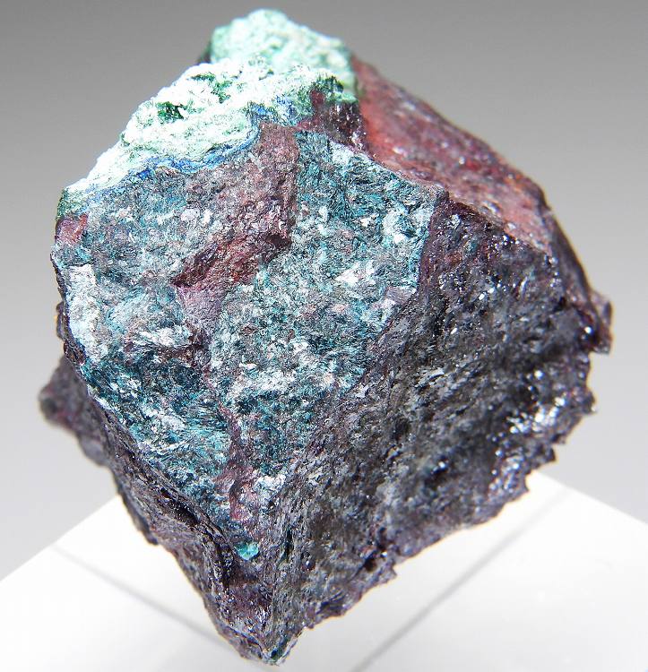 彗星のカケラ！Tagish Lake 隕石　標本 隕石【Meteorite】シルバーラスター 星のかけら Plate 2 | Taku