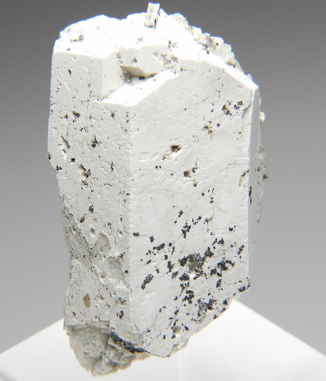 wc_195630