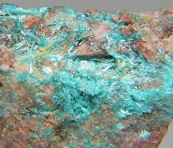 wc_195587