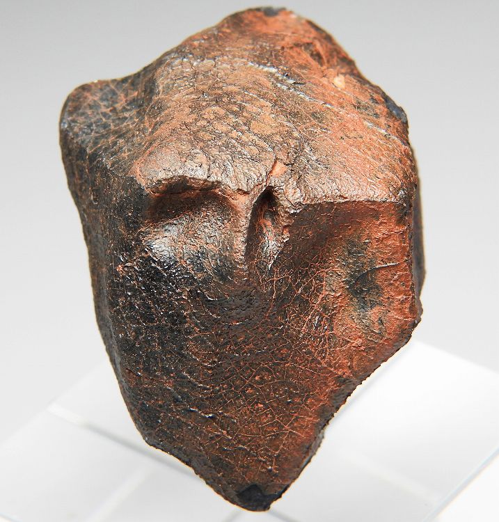 ミルビリリ(Millbillillie) エイコンドライト石質隕石(EUC-M) 557