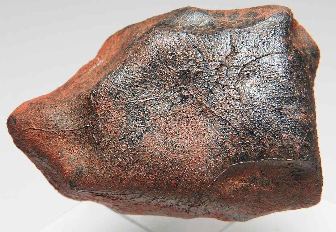 ミルビリリ(Millbillillie) エイコンドライト石質隕石(EUC-M) 557