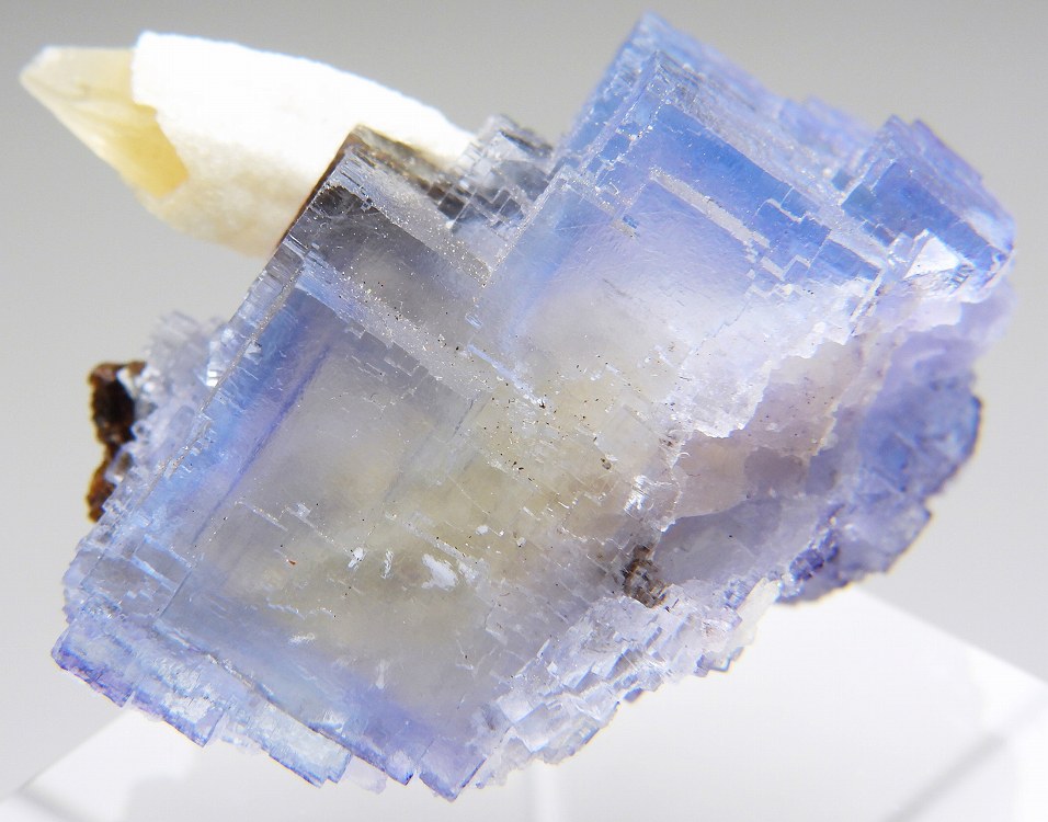 フローライト　イリノイ産　蛍石　鉱物【P4】 イリノイ産 パープル×イエローフローライト(蛍石)の原石 - cute stone -