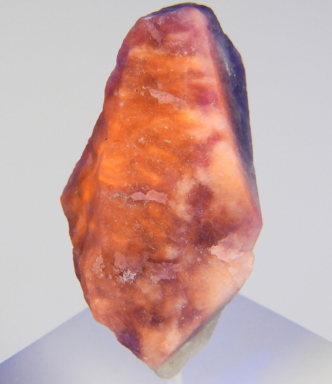 ハックマン石 274(蛍光) アフガニスタン - 鉱物標本・隕石標本販売の