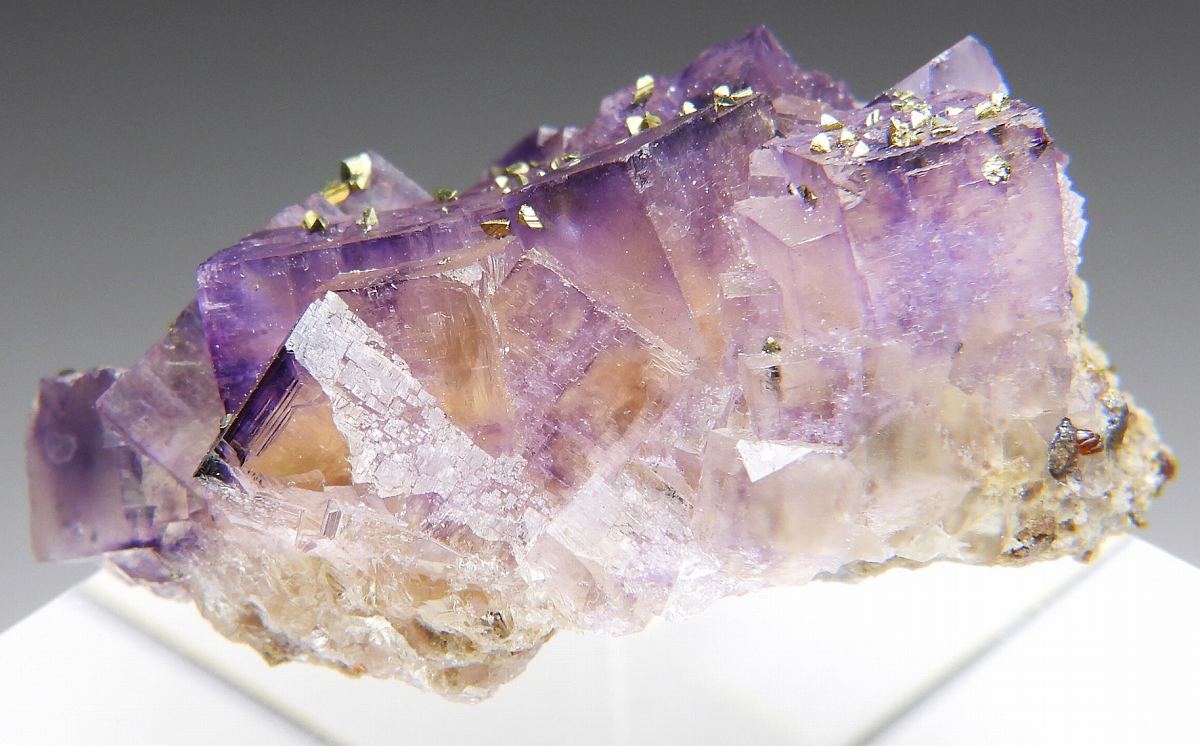 フローライト IL361 イリノイ州 - 鉱物標本・隕石標本販売のWeb専門店