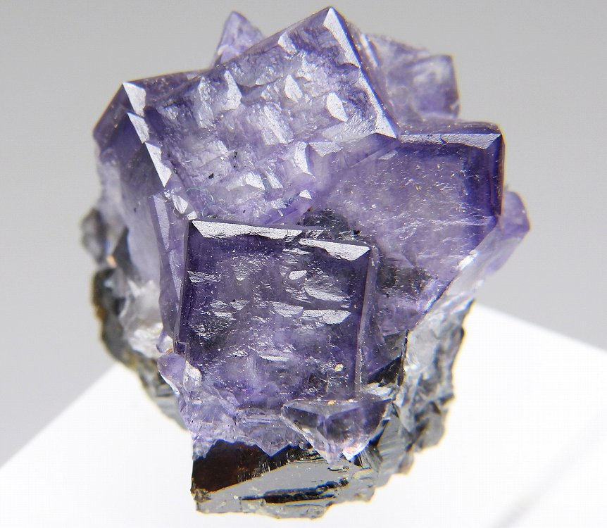 フローライト エルムウッド の商品一覧- 鉱物標本・隕石標本販売のWeb