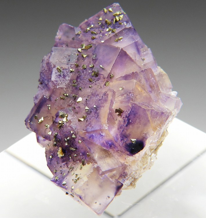 フローライト イリノイ の商品一覧- 鉱物標本・隕石標本販売のWeb専門