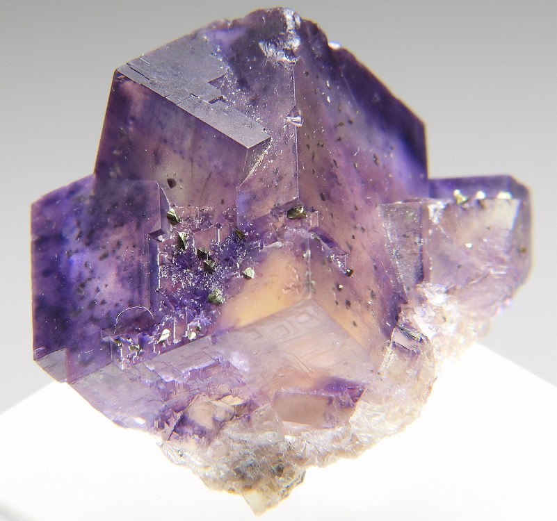 フローライト IL360 イリノイ州 - 鉱物標本・隕石標本販売のWeb専門店