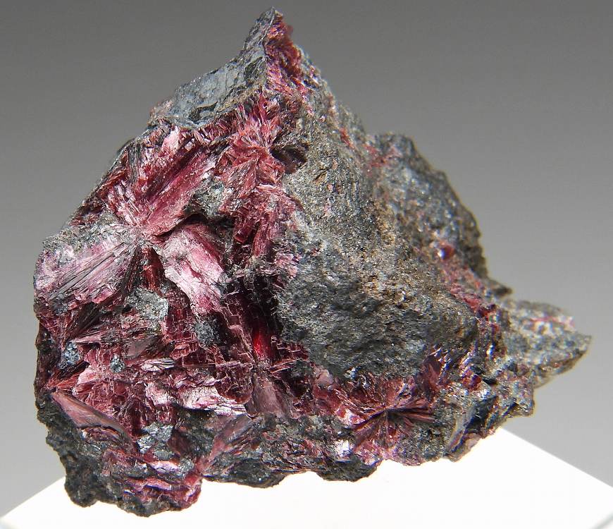 コバルト華 の商品一覧- 鉱物標本・隕石標本販売のWeb専門店 エヌズ