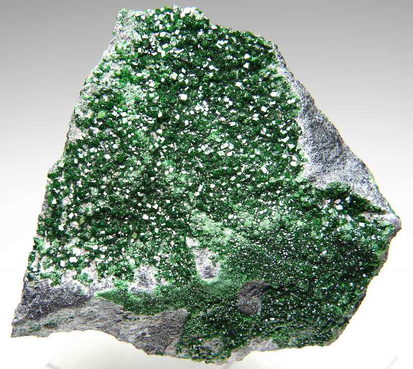 ガーネット の商品一覧- 鉱物標本・隕石標本販売のWeb専門店 エヌズ