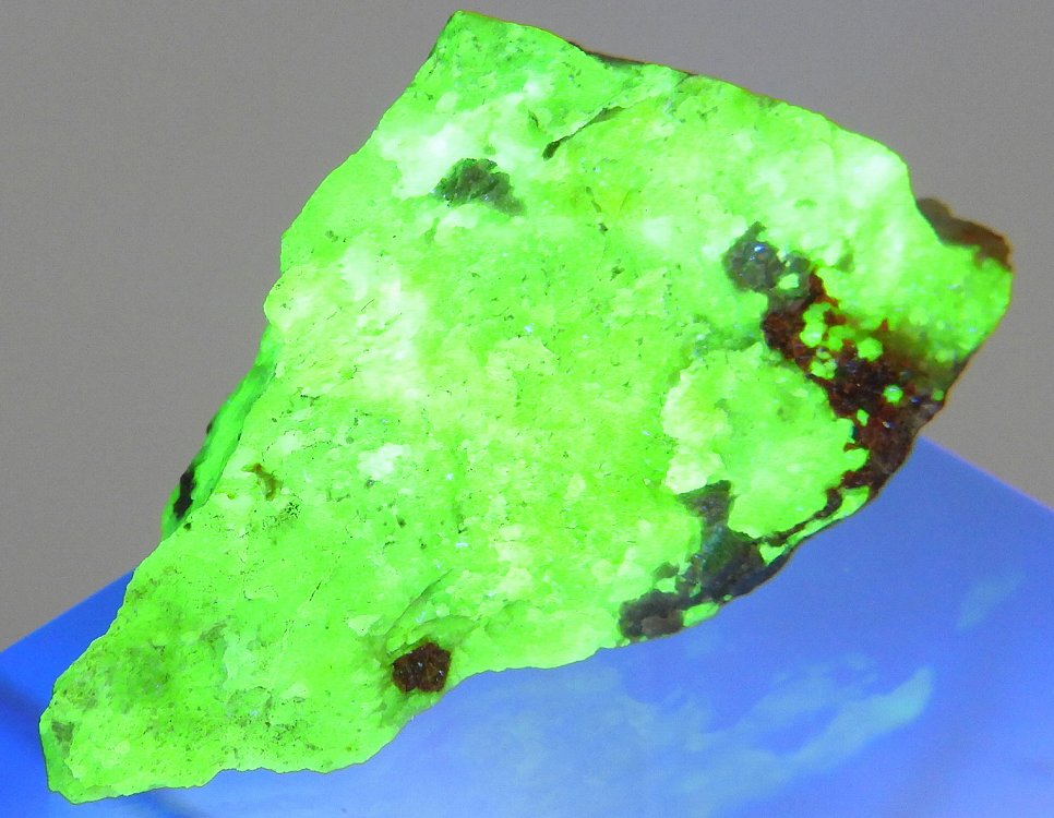 珪亜鉛鉱 173(強蛍光) ニュージャージー州 - 鉱物標本・隕石標本販売の