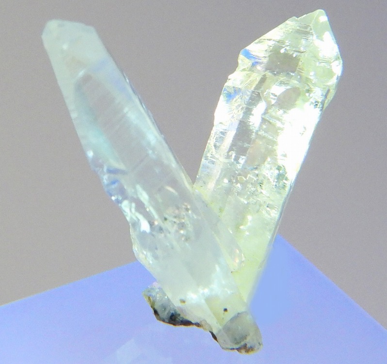 水晶 オイル入り水晶 726(蛍光) マダガスカル - 鉱物標本・隕石標本販売の