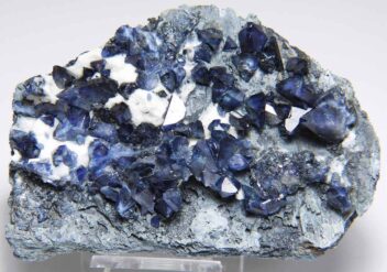 ベニト石 海王石 の商品一覧- 鉱物標本・隕石標本販売のWeb専門店