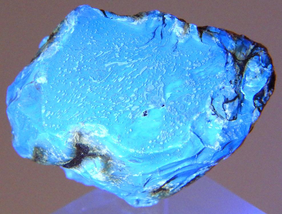 青い斑の浮かぶ魅力的なオパール82ct/鉱物標本 ブルーアンバー 196(蛍光) インドネシア - 鉱物標本・隕石標本販売の